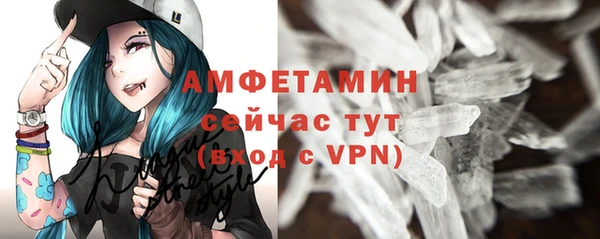 сатива Богданович
