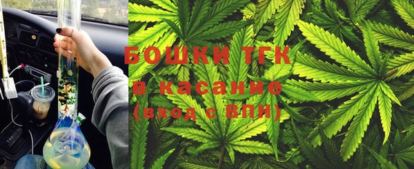 сатива Богданович