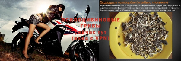 сатива Богданович