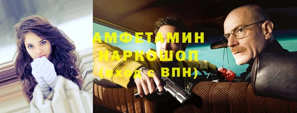 сатива Богданович