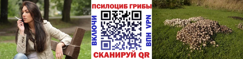 Псилоцибиновые грибы Psilocybe  где купить наркотик  Малаховка 